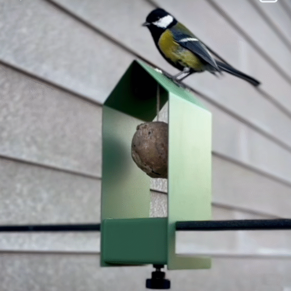 Metal Bird Nest & Feeder - 图片 5